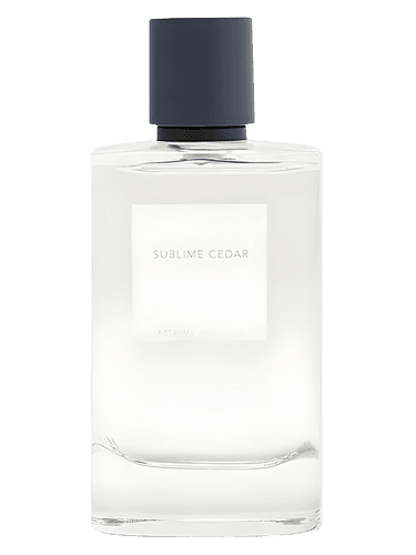 Zara Sublime Cedar