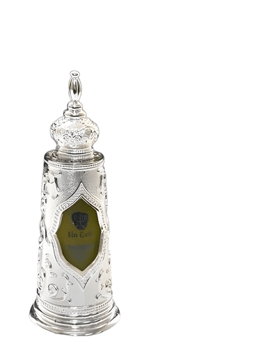 Ein Gedi Silver Torah Light of Jerusalem