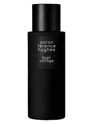 Aaron Terence Hughes High Voltage