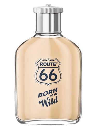 Route 66 Born To Be Wild