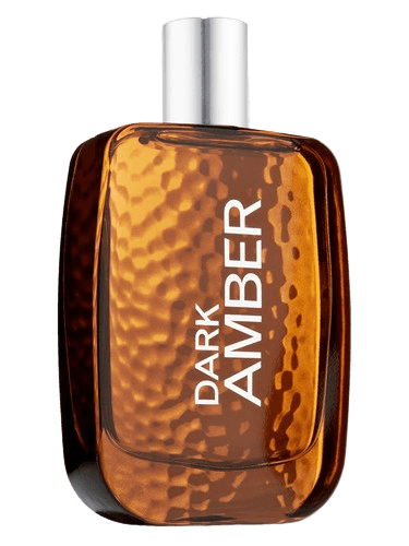 Bath & Body Works Dark Amber