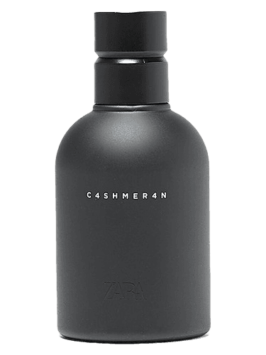 Zara C4SHMER4N 2019