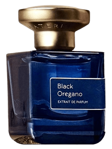 Atelier Materi Black Oregano