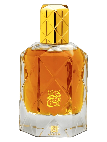 Ahmed Al Maghribi Bin Shaikh