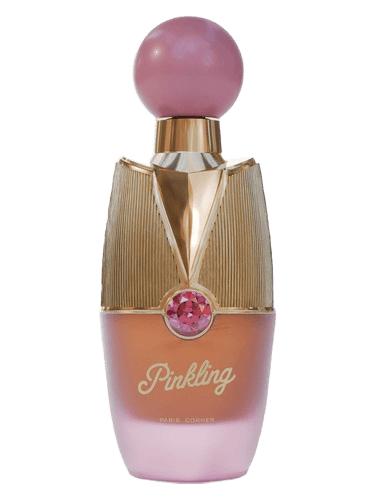 PARIS CORNER Pinkling