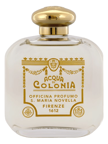 Santa Maria Novella Verbena