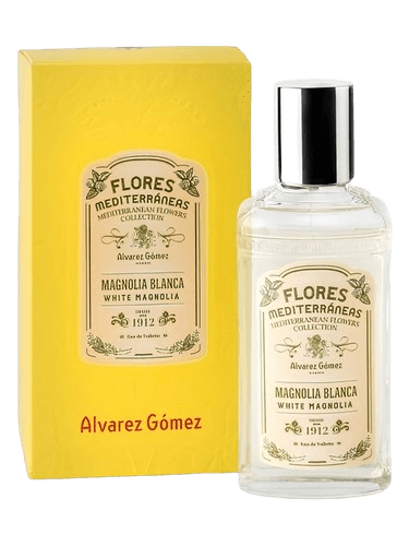 Alvarez Gómez Magnolia Blanca (White Magnolia)