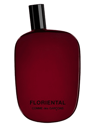 Comme des Garcons Floriental