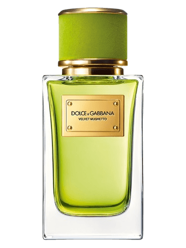Dolce&Gabbana Velvet Mughetto
