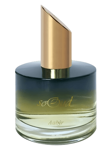 SoOud Aabir