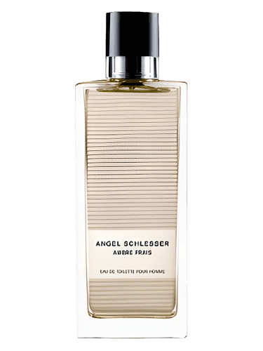 Angel Schlesser Ambre Frais Homme