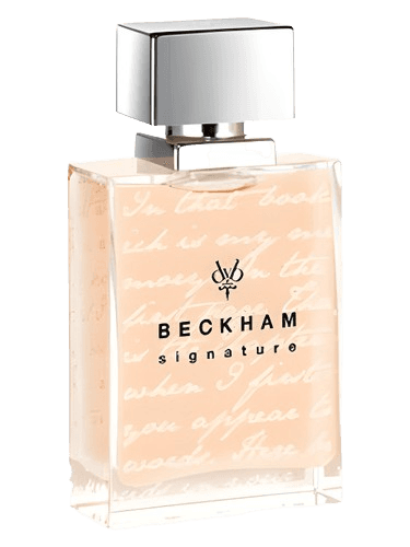 David Beckham Signature Story for Her
