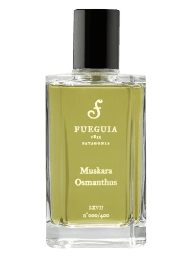 Fueguia 1833 Muskara Osmanthis