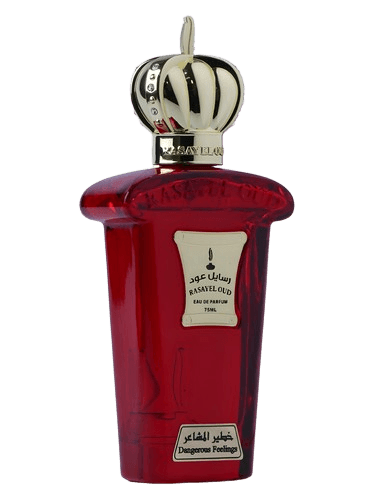 Rasayel Oud Dangerous Fellings