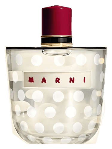 Marni Marni