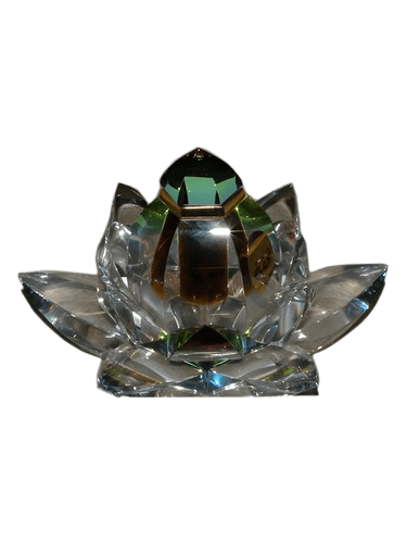 Arabian Oud Tohfa