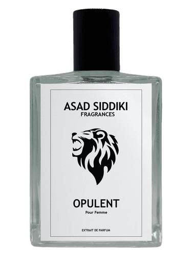 Asad Siddiki Opulent