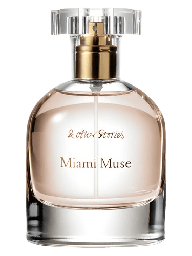 And Other Stories Miami Muse