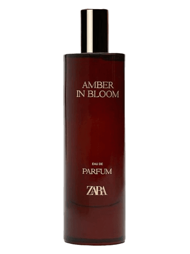 Zara Amber In Bloom