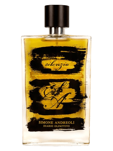 Simone Andreoli Silenzio