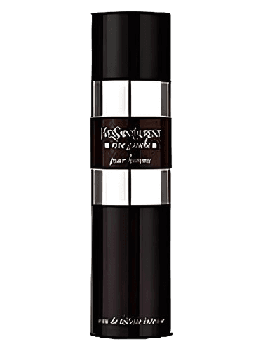 Yves Saint Laurent Rive Gauche Pour Homme Intense
