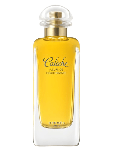 Hermès Caleche Fleurs de Mediterranee