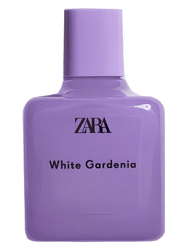 Zara White Gardenia
