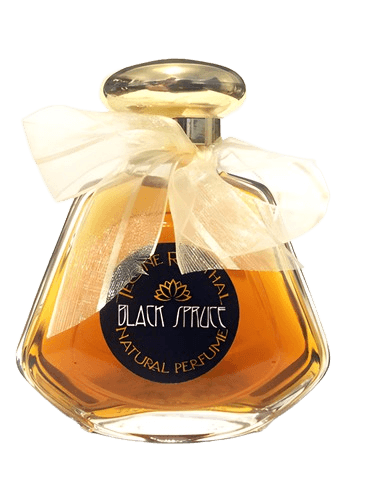 TRNP Black Spruce