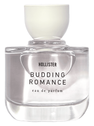 Hollister Budding Romance