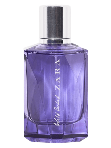 Zara Wild Orchid