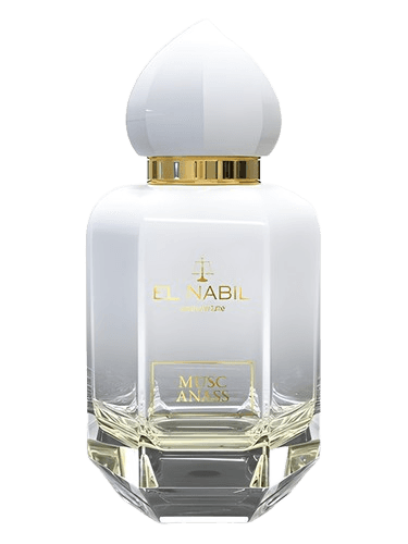 El Nabil Musk Anass