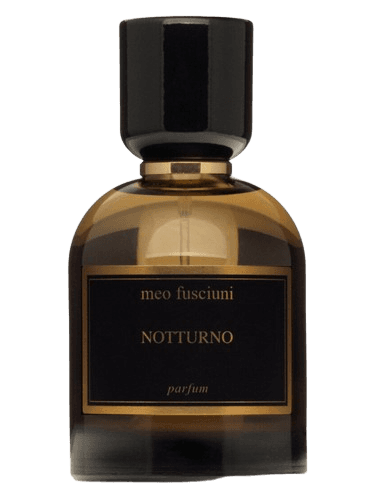 Meo Fusciuni Notturno