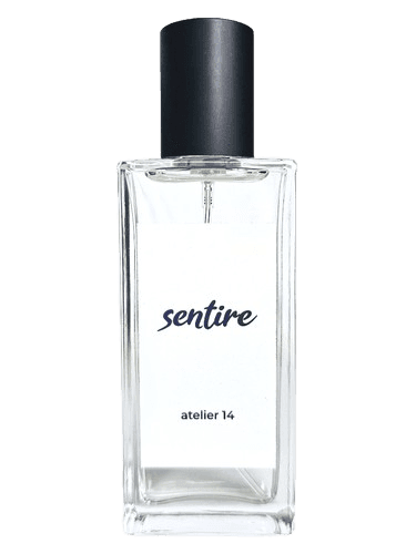 Sentire Atelier 14