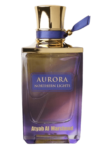 Atyab Al Marshoud Aurora Northern Lights