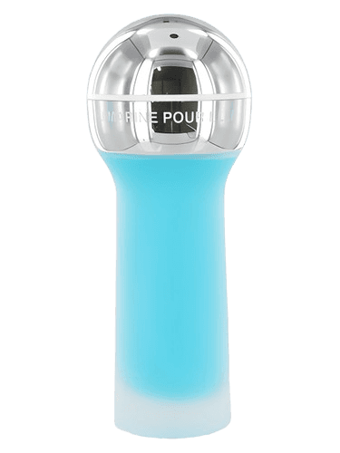 Pierre Cardin Bleu Marine Pour Elle