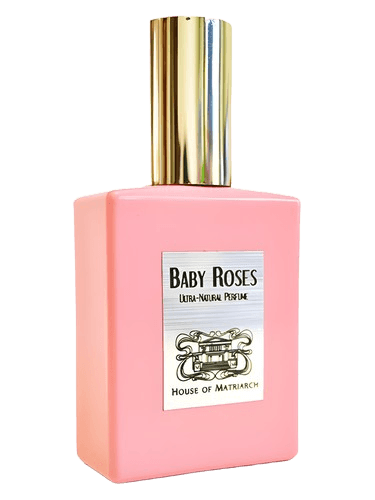 House of Matriarch Baby Roses