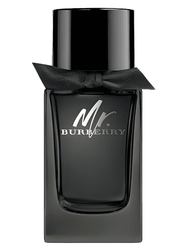 Burberry Mr. Burberry Eau de Parfum