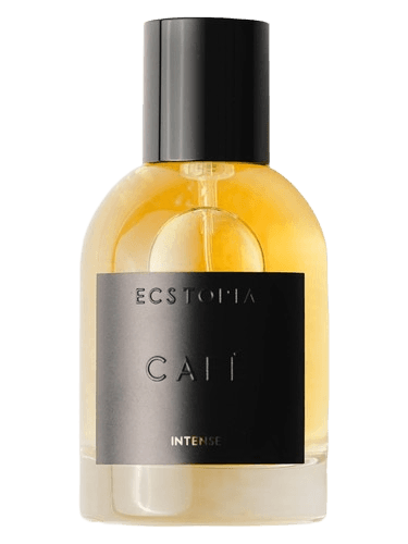 Ecstopia Café Intense