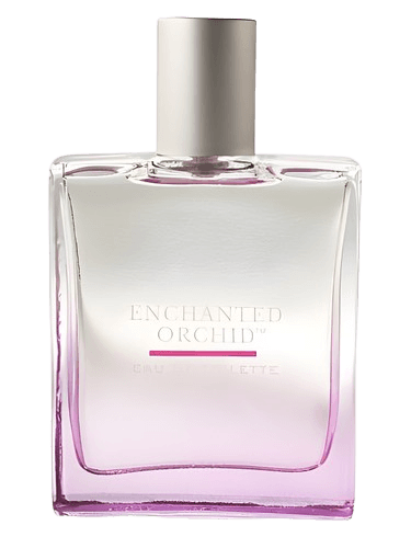 Bath & Body Works Enchanted Orchid