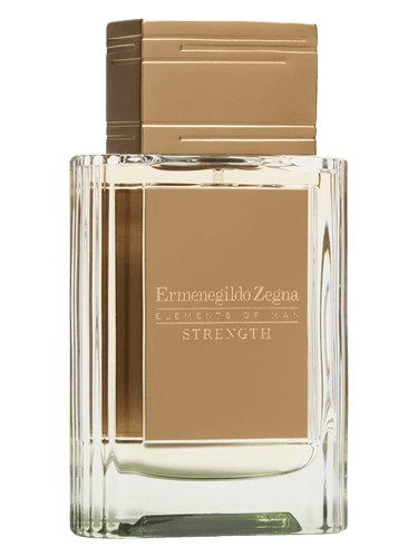 Ermenegildo Zegna Strength