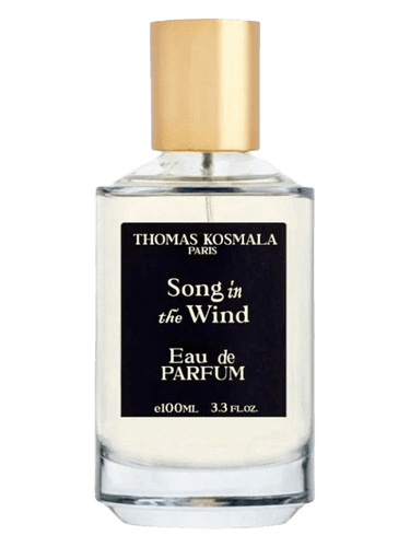 Thomas Kosmala Song In The Wind