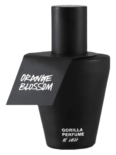 Lush Orange Blossom