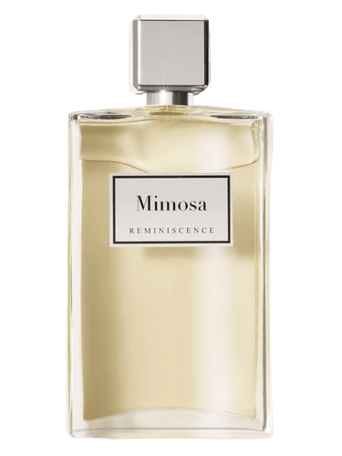 Reminiscence Mimosa