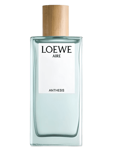 Loewe Aire Anthesis