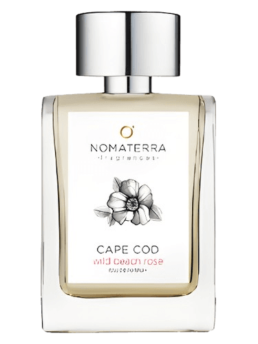 Nomaterra Cape Cod Wild Beach Rose