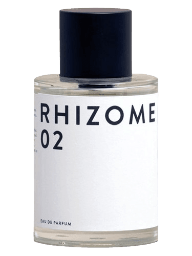 Rhizome Rhizome 02