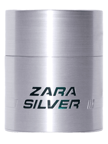 Zara Zara Silver