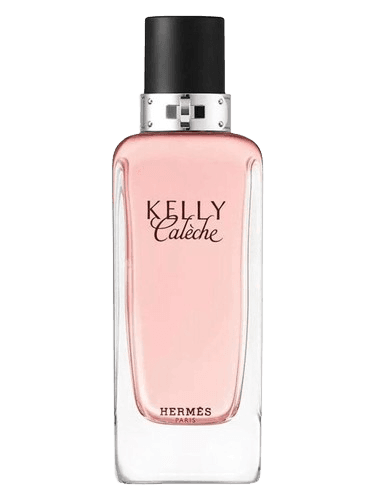Hermès Kelly Calèche