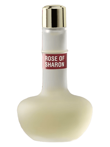 Ein Gedi Rose of Sharon