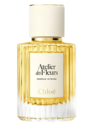 Chloé Cedrus Intense